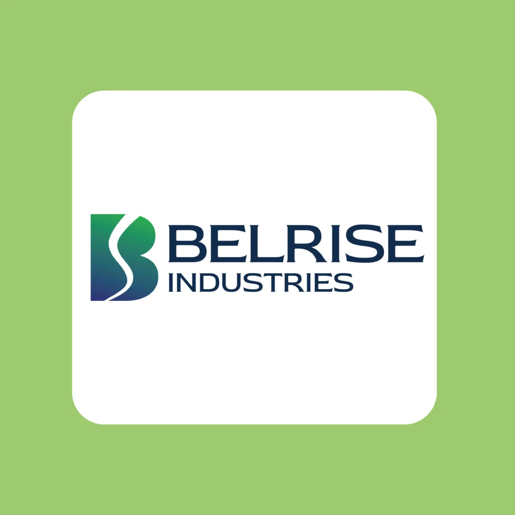 Belrise Industries Limited IPO