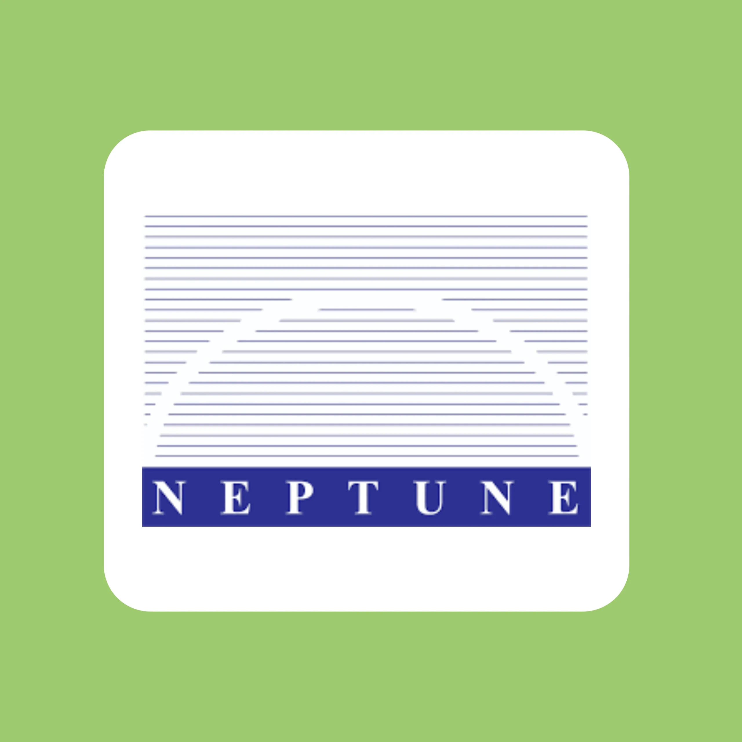 Neptune Petrochemicals Limited IPO