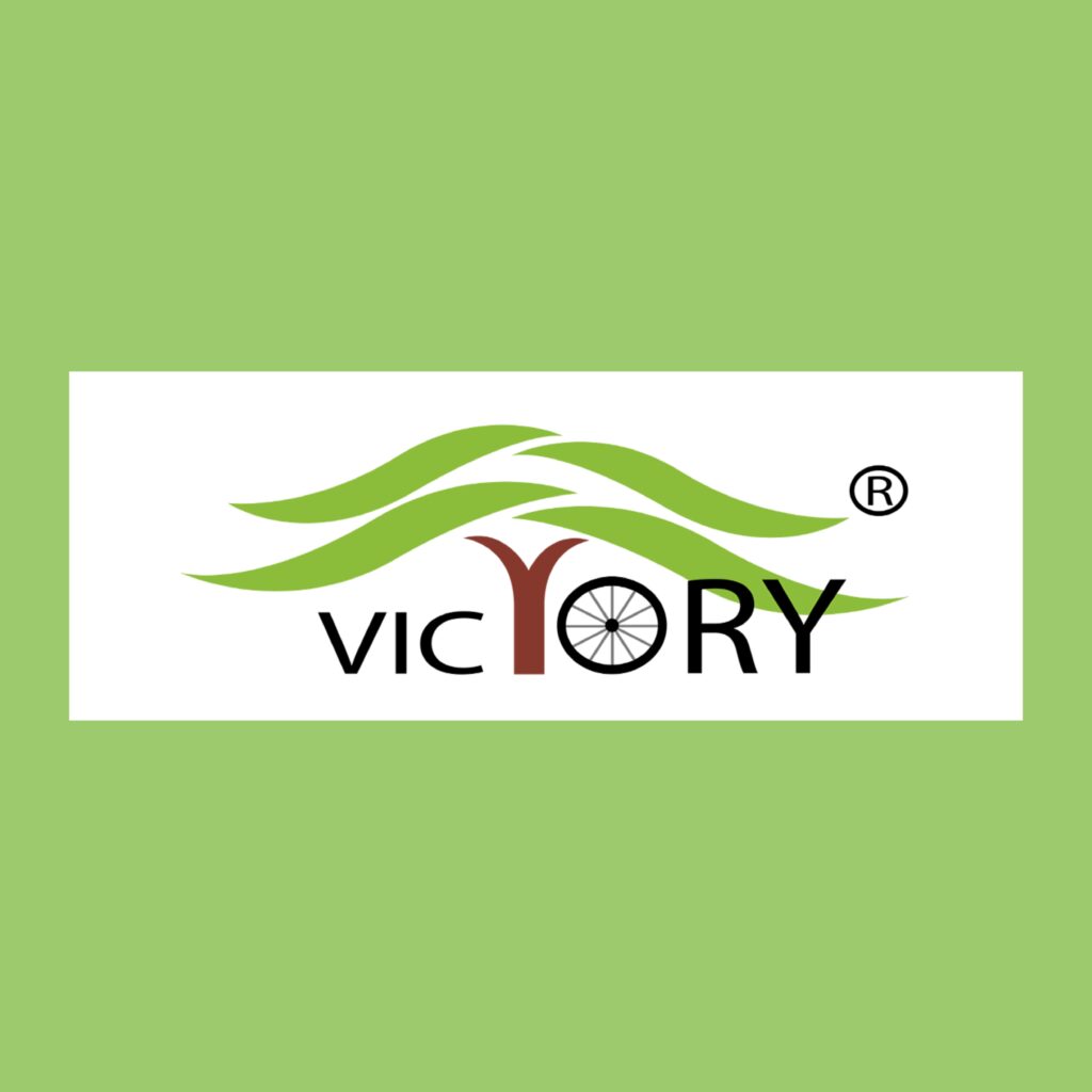 Victory Electric Vehicles International Limited IPO