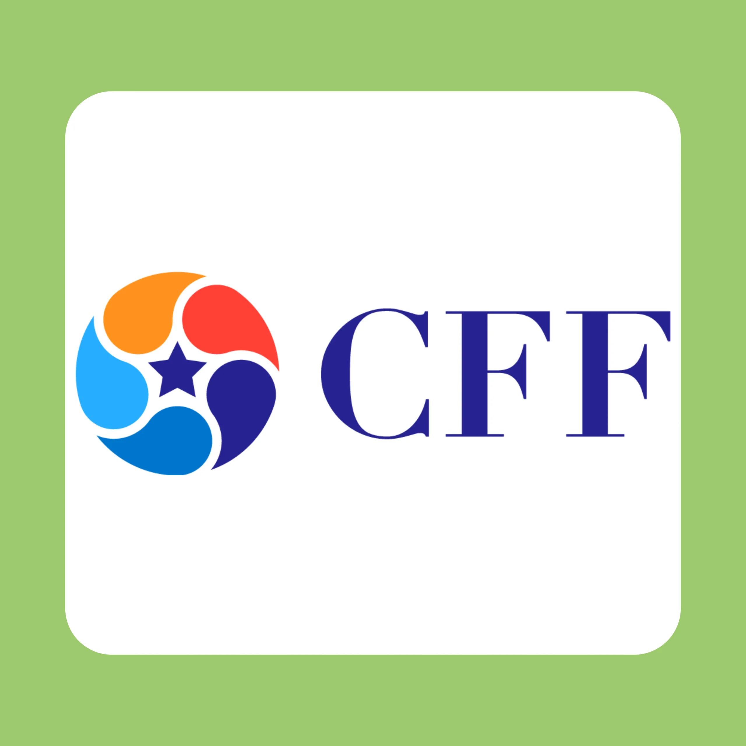 CFF Fluid Control Ltd IPO